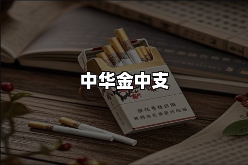 中华金中支